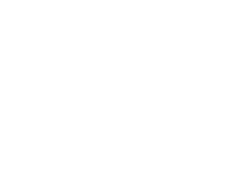 PayTren Logo