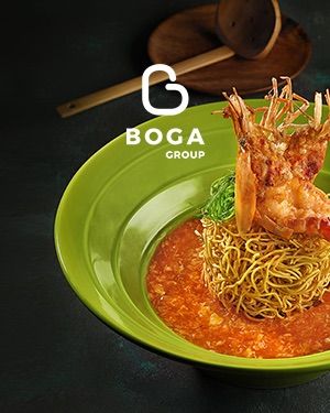 Client Logo: Boga Group
