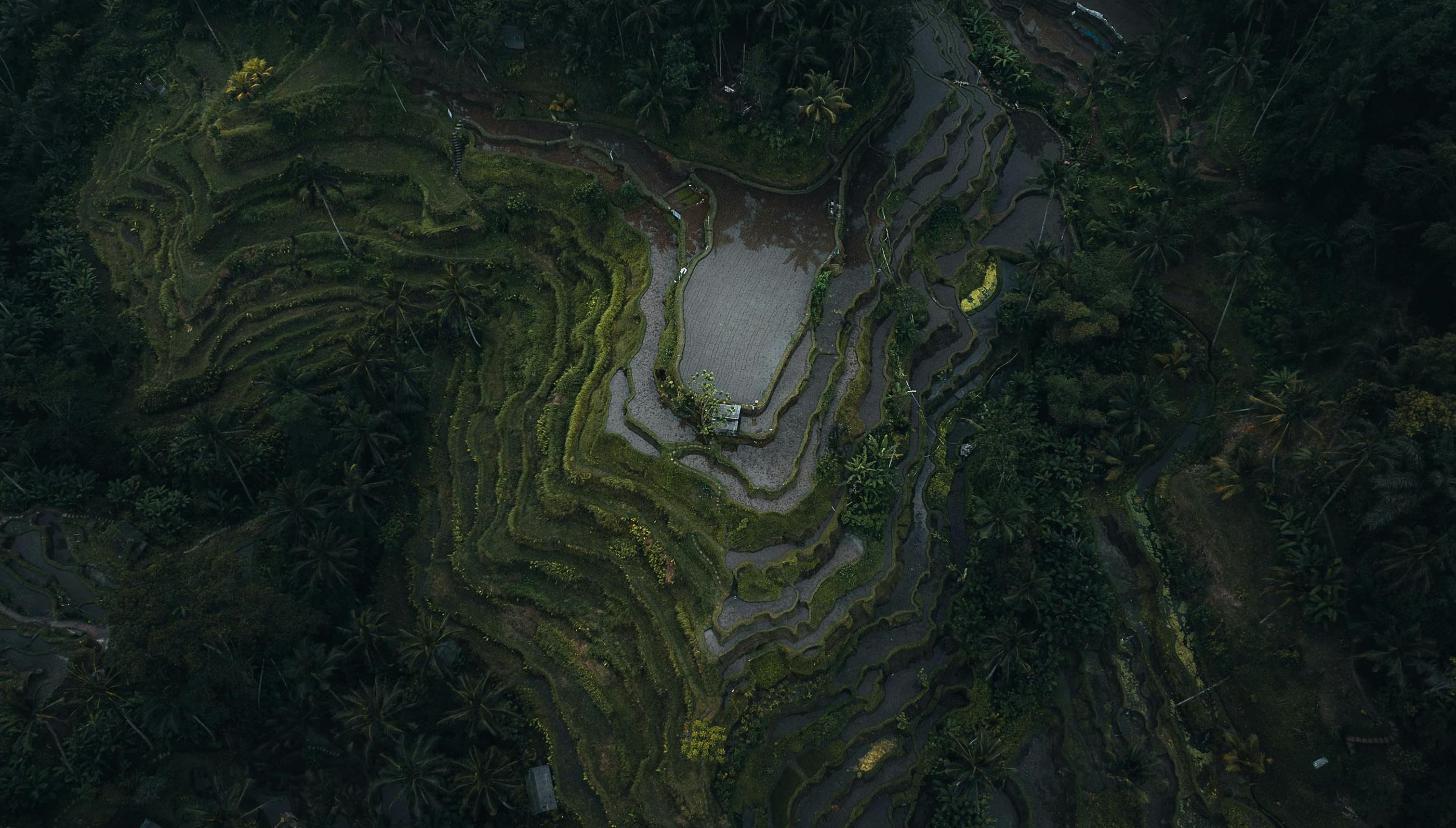 Elevate Work by Fleava Fleava - Bali, Jakarta & Singapore Digital Agency
