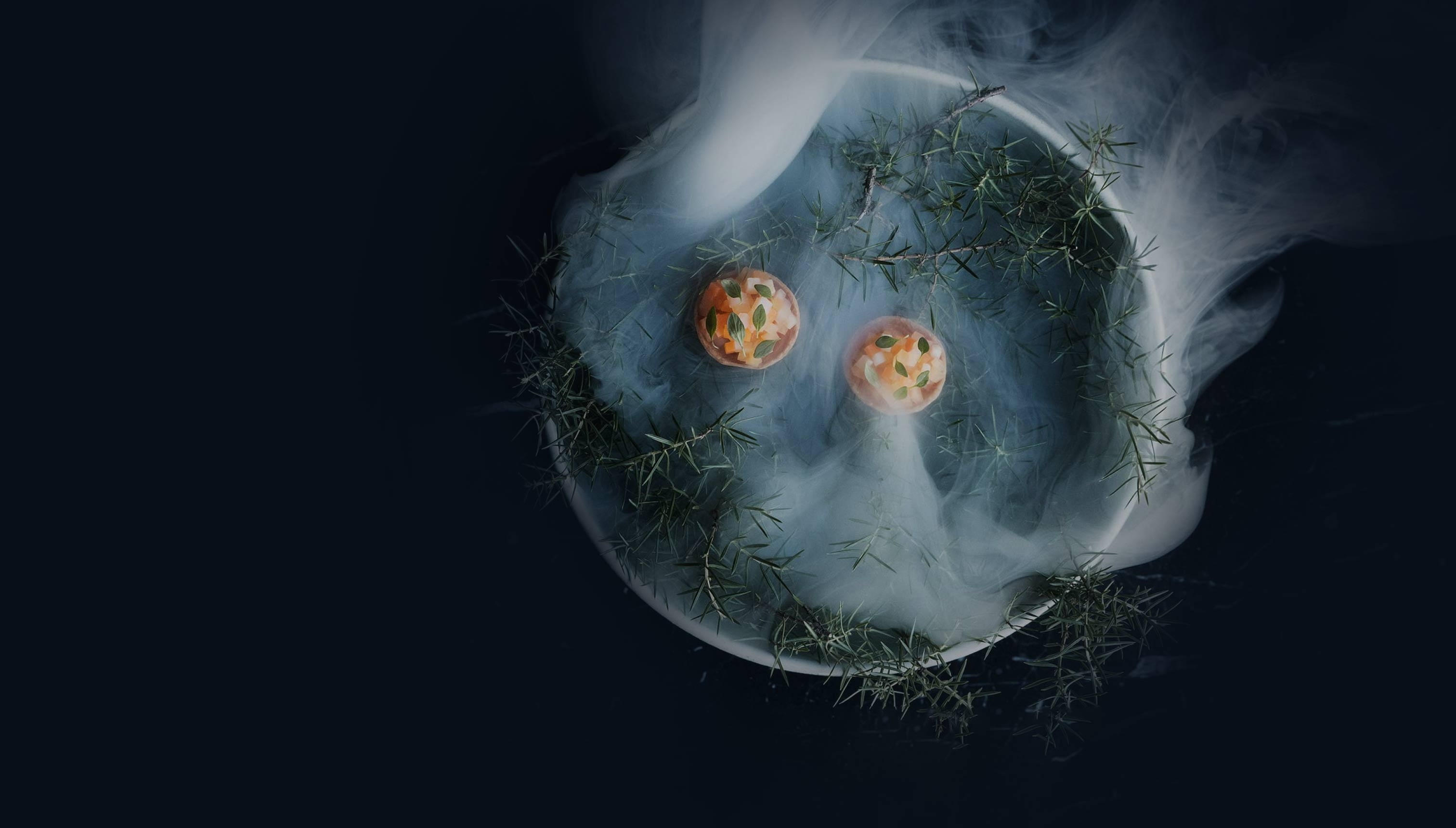 Fine Dine Club Work by Fleava Fleava - Bali, Jakarta & Singapore Digital Agency