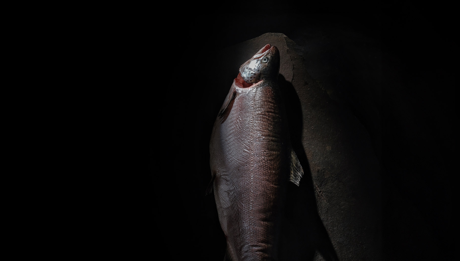 Honzen + Sumizen Work by Fleava Fleava - Bali, Jakarta & Singapore Digital Agency