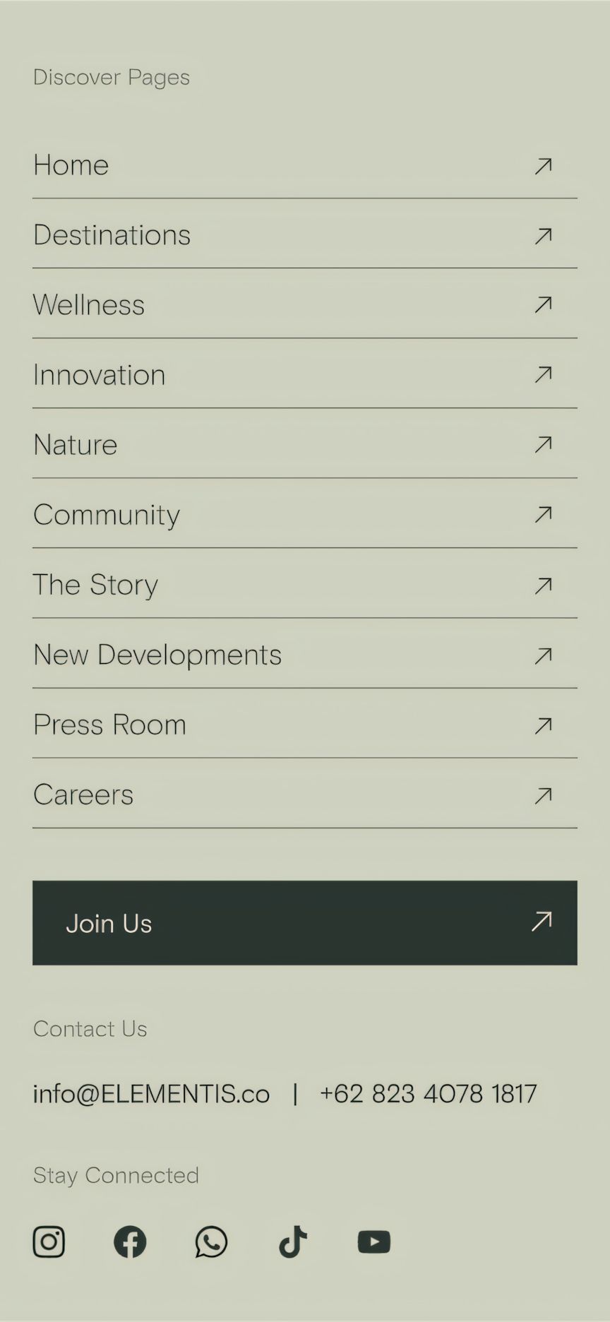 ELEMENTIS — Fleava - Bali, Jakarta & Singapore Digital Agency