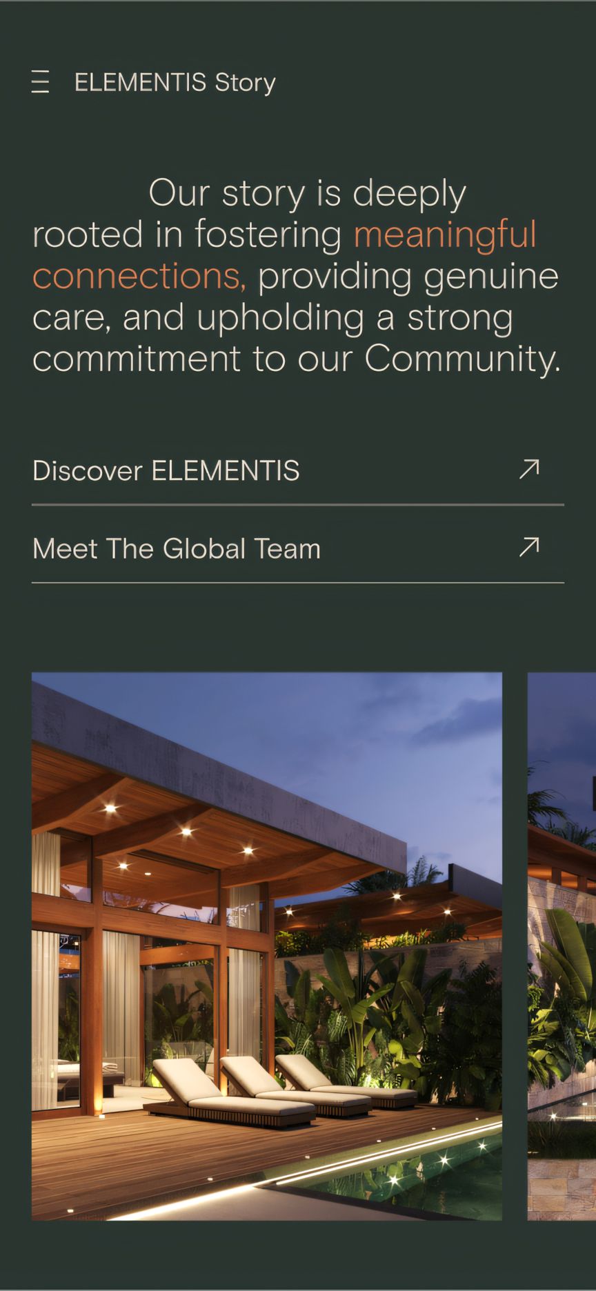 ELEMENTIS — Fleava - Bali, Jakarta & Singapore Digital Agency