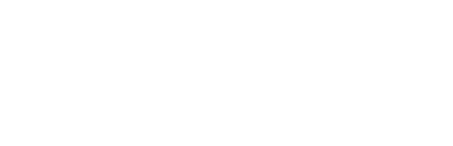 Agency of the Year: Fleava - Indonesia & Singapore Digital Agency